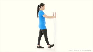 Standing Calf Stretch HSS [upl. by Franz]