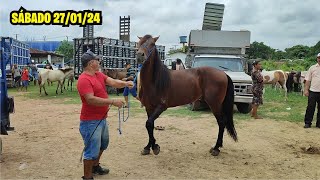 FEIRA DE CAVALO E ANIMAIS DE ABREU E LIMAPE SÁBADO 270124 [upl. by Carline616]