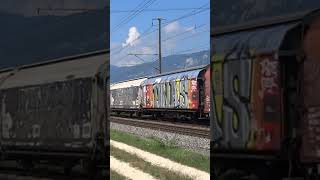 SBB Cargo Re420 348  Freight Train on the JurafoothLine 🇨🇭 train swissrailway [upl. by Esilrac248]