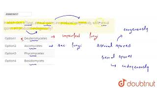 In which class of fungi asexual spores are produced exogenously while sexual spores are produc [upl. by Derrik562]