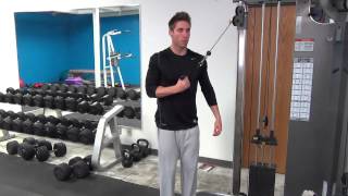 Single Arm Cross Body Pushdowns [upl. by Hutt]