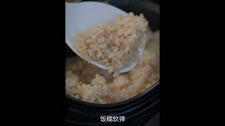 Unlock the Secrets of Lexchef Smart Rice Cooker [upl. by Orlosky]