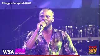 Dexta Daps and Masicka Performance at Reggae SunSplash [upl. by Jacoba71]