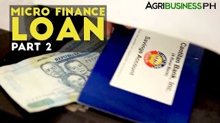 Loans for Farmers Part 2  Cantilan Bank MicroFinance Loan  Agribusiness Philippines [upl. by Garrard]