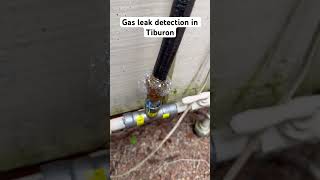 Gas leak detection in Tiburon by Local Plumbing [upl. by Georgetta]