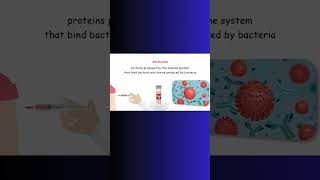 ANTIBIOTIC ANTIBODY antibioticresistance bacteria microbiology biochem physiology immune [upl. by Aksoyn]