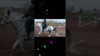 Супер тренировка💥💥💯🐴 horse лошади [upl. by Ellehsat90]