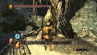 Dark Souls 2  How to farm the Giant Lord [upl. by Eniale608]