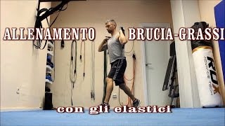 Allenamento brucia grassi con gli elastici di 30 minuti [upl. by Nalyt]