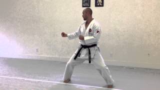 Nihon Yoko Geri Kekomi Kiba Dachi  IKD Testing Syllabus videos  Shotokan Karate 2013 [upl. by Damian]