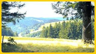 Westweg E8  Schwarzwald schwarzwald westweg wandern aussicht outdoorscape [upl. by Ahsimak716]