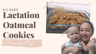 Easiest Lactation Cookie Recipe  No Oven Needed [upl. by Ramona200]