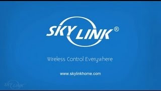 Introducing Skylink [upl. by Merola482]