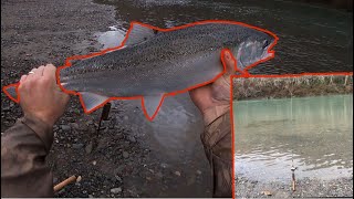 Steelhead Plunking Success [upl. by Lamb577]