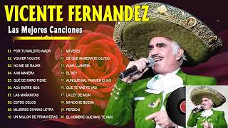 VICENTE FERNÁNDEZ RANCHERAS ÉXITOS DE ORO  VICENTE FERNÁNDEZ 30 GRANDES ÉXITOS MIX Vol12 [upl. by Milson]