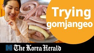 Koreans eat gomjangeo hagfish marinated or salted [upl. by Lauritz]