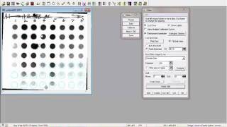 Dot Blot Analysis with Gelpro Analyzer Software [upl. by Macy303]