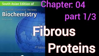 lippincott chapter 4  fibrous proteins   part 1 of 3  collagen [upl. by Rebma]