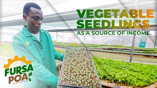 VEGETABLE SEEDLINGS PROPAGATION [upl. by Iadrahs]