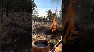 Coffee is best outside [upl. by Miehar]