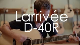 Larrivee D40R [upl. by Ahsinik]