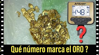 la numeración del ORO en Un Detector de Metales  gold Detector [upl. by Ynatsed]