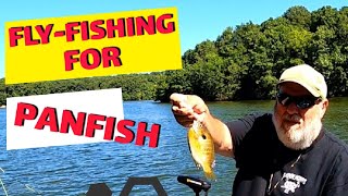 FLYFISHING FOR PANFISH [upl. by Albemarle]