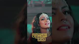 Pilimayak Oya Prageeth Perera TikTok pilimiyak romanticsong musicvideo singer newmusic [upl. by Krebs806]