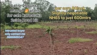 Land for sale karnataka 4acre25guntamangoplantNH65to600mtrsPerAcre80lack [upl. by Anjela]