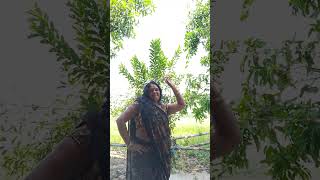 तनी और ठुमकालगा के song dance [upl. by Tebazile]