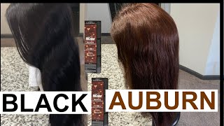 HOW TO GO FROM BLACK TO AUBURN BROWN HAIR  NO BLEACH [upl. by Jessalin]