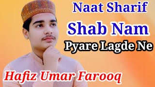 Hafiz Umar Farooq  New Naat Sharif Shab Nam Pyare [upl. by Animsaj]