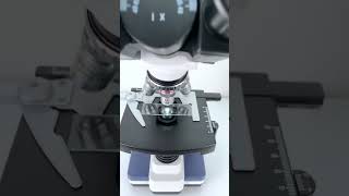 Cat saliva at 400X magnification is seriously so coolfyp funnyvideos microscope funny [upl. by Alael239]