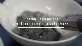 Finding radiolarians in the core catcher [upl. by Malonis611]