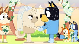 10 Bluey Episodes That Were Extremely Unnecessary [upl. by Tankoos]