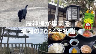 辰年🐉 辰神様が集まる福岡のパワースポットに行ってみた 志賀海神社 [upl. by Rufena894]