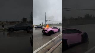 How fxalexg Blew His Lambo Up forex meme trading [upl. by Gassman636]