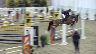 Millions Way v Million Dollar und Lucas Wenz  Platz 3 in Springpferde L 83 [upl. by Neraa47]