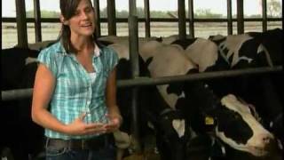 Meet a Michigan Dairy Farmer [upl. by Atiral]