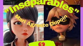 quotInseparablesquot capitulo 6Mari Agreste DupoinPenúltimo¿marichat de nuevo leer discripcion [upl. by Ramgad761]