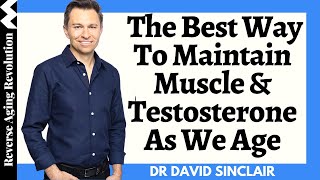 The BEST Way To Maintain Muscle amp Testosterone As We Age  Dr David Sinclair Interview Clips [upl. by Aiselad]