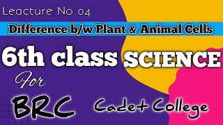 6th class science chapter 01  difference between plant and animal cell  for BRC and cadet colleges [upl. by Rubinstein]