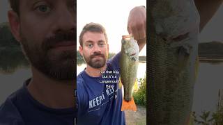 Late night bass fishing at Beck Lake Illinois fishing fishinglife fishingvideo [upl. by Yelrebma]