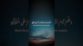 One of the best recitations by Minshawi albaqarah quran quranrecitation recitation [upl. by Ignaz]