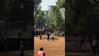 1 Ball 2 Runs cricket cricketlover tenniscricket cricketnews cricketfans [upl. by Atnohsal]