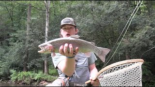 FLY FISHING for TROUT in PA  Streamer Eaters [upl. by Dareg]