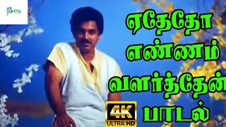 ஏதோதோ எண்ணம் வளர்த்தேன்  Yedhedho Ennam Valarthen K S Chithra Melody H D Song [upl. by Phyllys414]