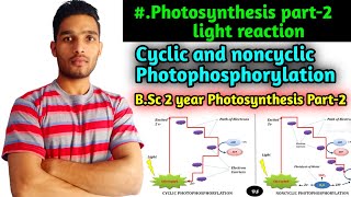 Photosynthesis Light reaction Cyclic and nonCyclic photophosphorylation BSc 2 year [upl. by Fae]