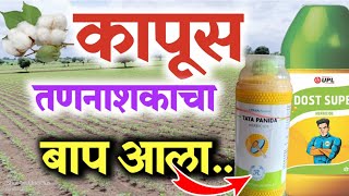 कपाशीवरील उगवणीपूर्वी तणनाशक  Dost Supar  Panida Garnde Pendimethalin 30EC  Cotton Herbicide [upl. by Aceber]