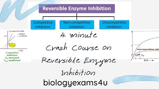 Competitive Noncompetitive and Uncompetitive inhibition4 Minute Summary [upl. by Constancia947]